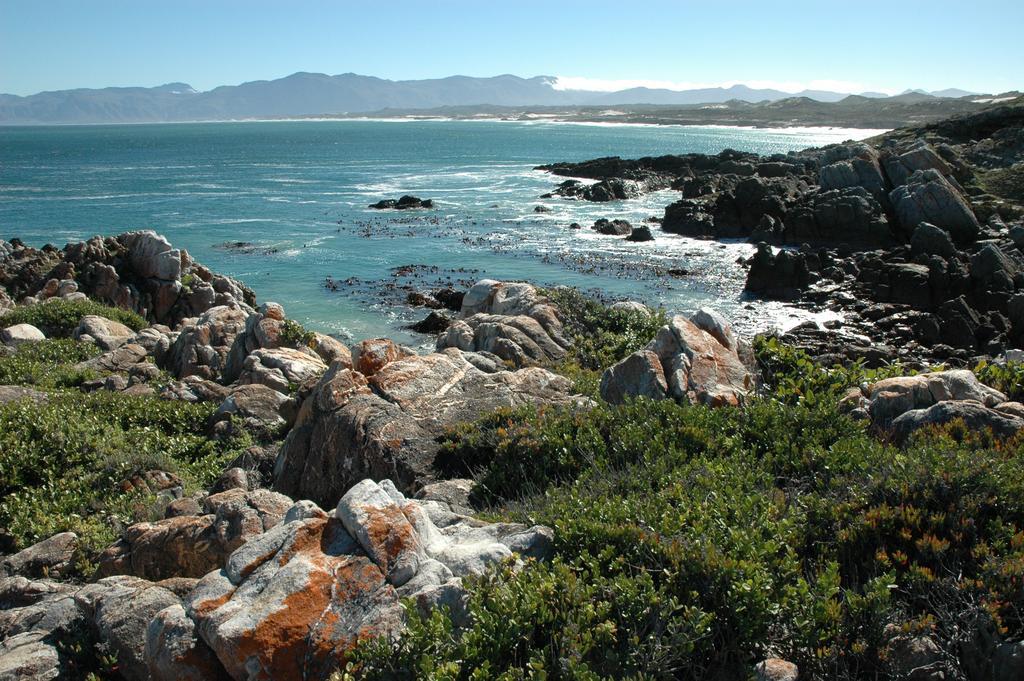 Cliff Lodge Gansbaai Extérieur photo