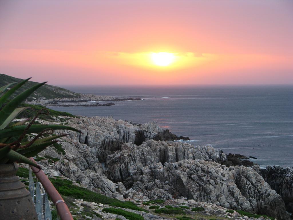 Cliff Lodge Gansbaai Extérieur photo